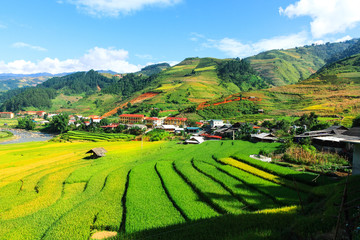 Fototapeta premium Rice fields on terraced of Mu Cang Chai, YenBai, Vietnam. Rice fields prepare the harvest at Northwest Vietnam.Vietnam landscapes.