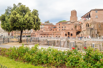 Roman ruins in Rome, Forum