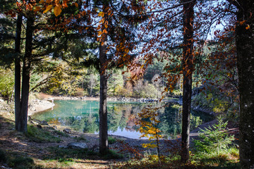 lake in autumn