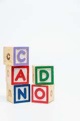 CAN DO word wooden block arrange in vertical style on white background and selective focus