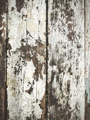 Old wooden texture and background


