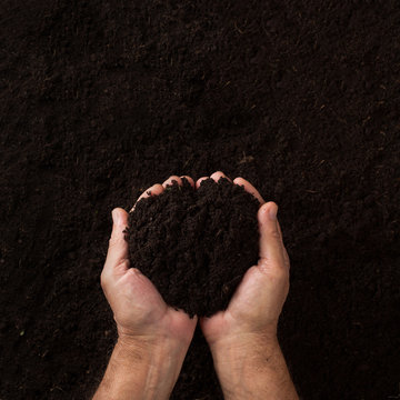 Two Hands Holding Soil Over Dark Texture