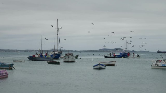Buzios Port, Brazil