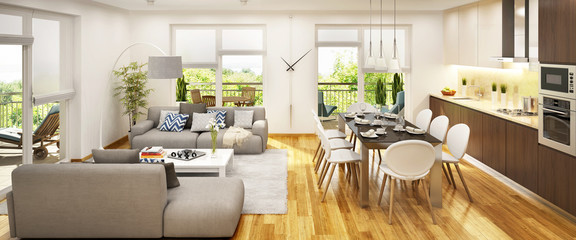 Modern kitchen and living room