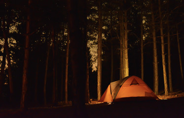 Ormanın Derinliklerinde Kamp