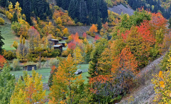 autumn and huts