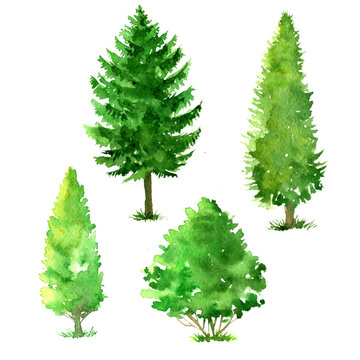set of trees drawing by watercolor