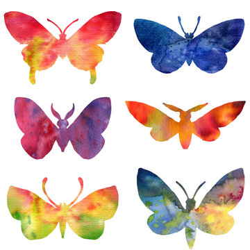 set of color watercolor silhouettes of butterflies