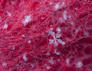 Snowflakes on a background of a woolen scarf.