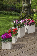 Fototapeta na wymiar decorative arrangements of potted plants outdoor