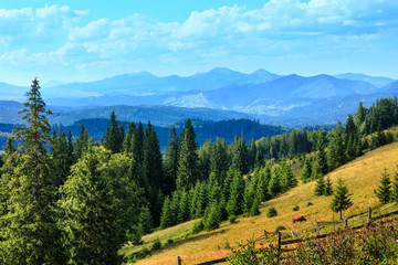 Summer mountain country view (Carpathian, Ukraine).
