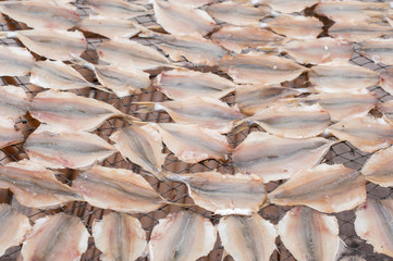 the soft focus of Dried fish on the net grid in the sunny day