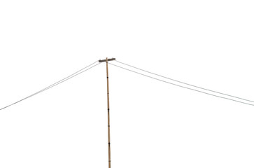 the bamboo electric pole isolated white background. vintage style