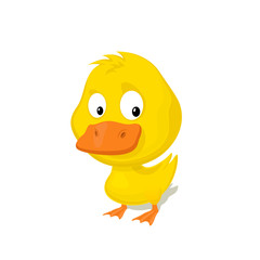 Funny cartoon duckling vector illustration. Zoo Animal and bird.