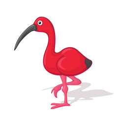 Funny cartoon ibis vector illustration. Animal Zoo concept.
