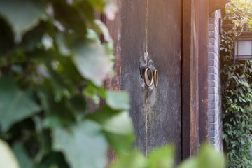 Chinese Door Knocker in Chengdu,China.
