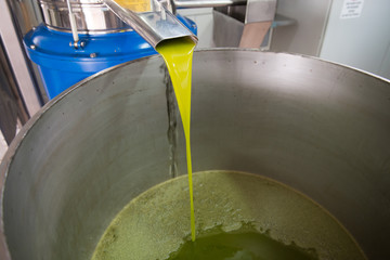 Spremitura delle olive in frantoio