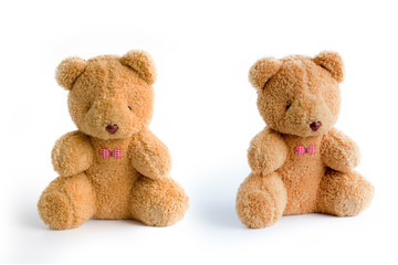 teddy bears toys isolated on white background 