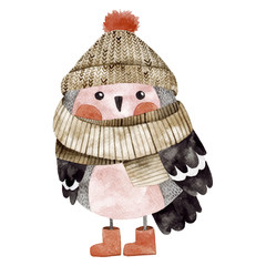 Little cute bullfinch with winter hat and scarf