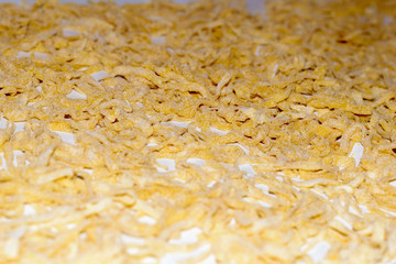 Home made pasta, noodles, healthy food - swallow DOF.