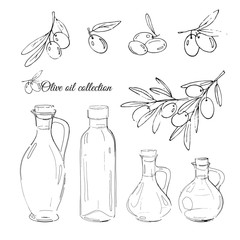 vector illustration with olives and bottles on olive oil