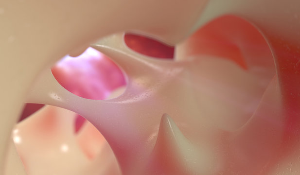 3d render medical illustration of the bone structure