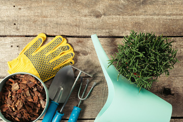 composition of garden tools