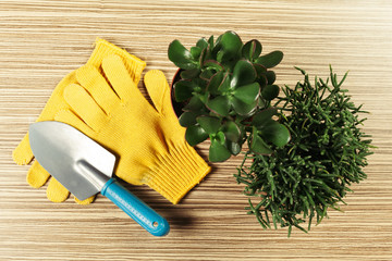 composition of garden tools
