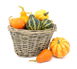 Green, orange and yellow ornamental gourds in a basket