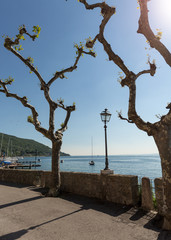  Garda lake with promenade in Torri del Benaco, Italy