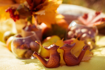 details and elements of autumn decoration outdoors