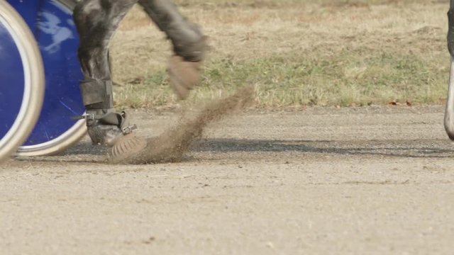 SLOW MOTION: Wheels and horse legs on a track (close up)