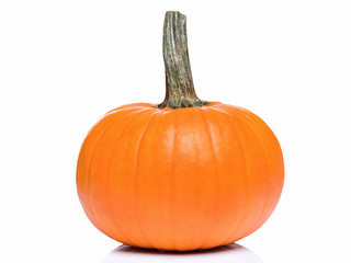 Fresh orange pumpkin isolated on white background. Studio shot of a nice ornamental autumn pumpkin for Halloween.