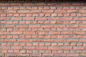 Obraz premium Ziegelmauer