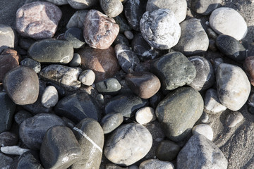 sea pebbles in the water