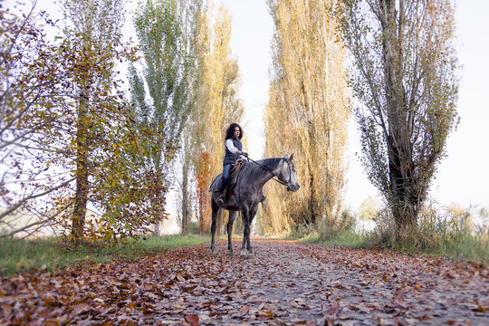 horsewoman rides his horse to the country roads in autumn
