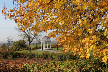 Pavilion in the park