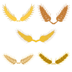 Fototapeta na wymiar Set of laurel wreath. Collection of floral and wheat branches made in vector