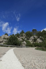 road curve