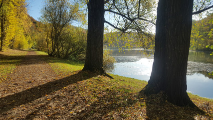 Riedener Waldsee im Herbst