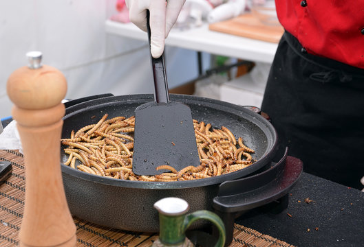 zophobas morio larvae food frying on the pan