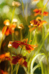 oil watercolor red flowers