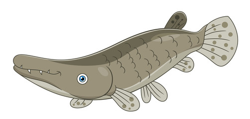 Cartoon alligator gar