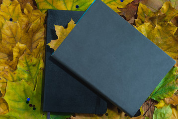 Notebook on the Background of Autumn Leaves