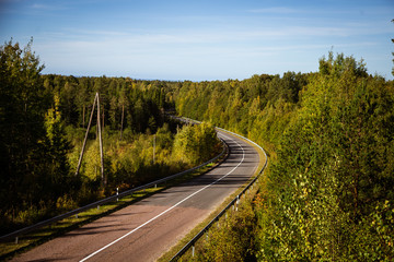 Road through the autumn forest