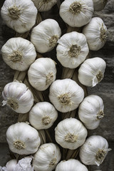 Garlic hanging food