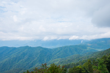 Mountains and tree under mist in the morning.
