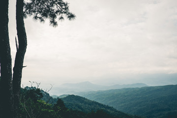 Mountains and tree under mist in the morning. Vintage or retro tone.