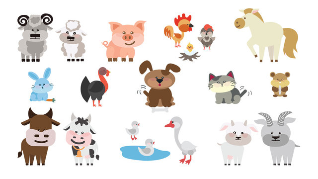 Farm animals set. Isolated home animals on white background as dog, cat, goat, ram, horse and others.