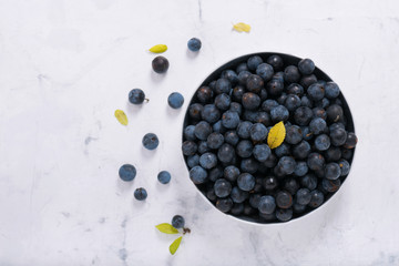 Natural healthy wild berry, sloes or blackthorn berries in a bowl. Top view. 
